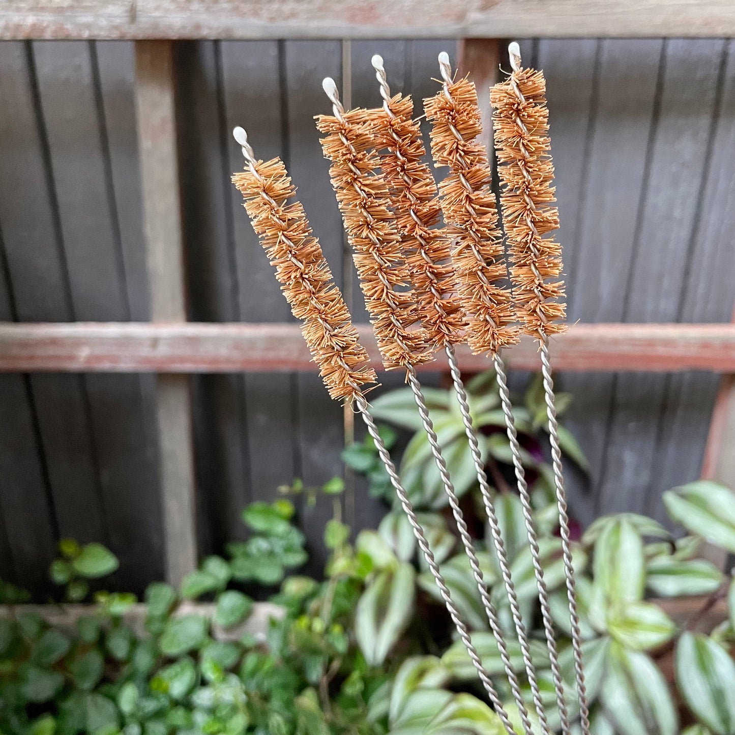 Coconut Fiber Straw Brushes